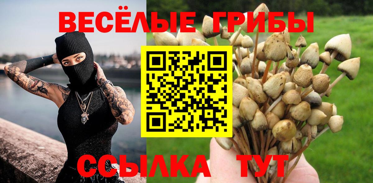 Магазин наркотиков  Мефедрон   Юрга  Вход с VPN  Гашиш  Марихуана 