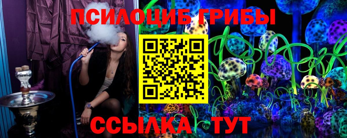 Галлюциногенные грибы Psilocybine cubensis Юрга